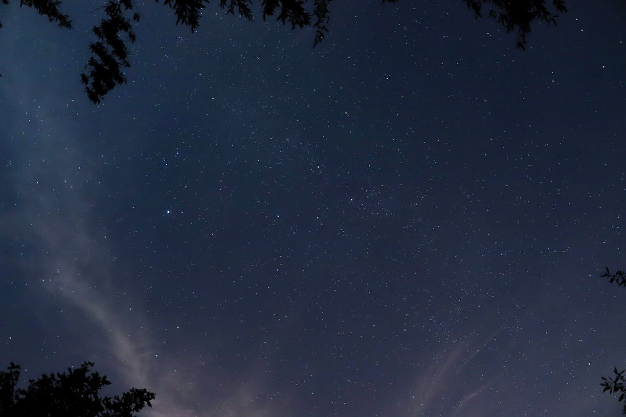 A breathtaking view of a starry night sky framed by tree branches.